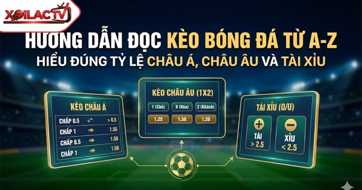 Hướng Dẫn Cách Đọc Kèo Bóng Đá Từ A-Z: Hiểu Đúng Tỷ Lệ Châu Á, Châu Âu và Tài Xỉu