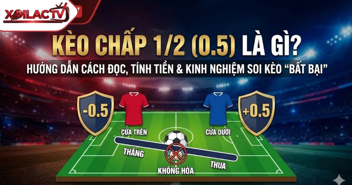 Kèo Chấp 1/2 Là Gì? Hướng Dẫn Cách Đọc, Tính Tiền & Kinh Nghiệm Soi Kèo 0.5 “Bất Bại”