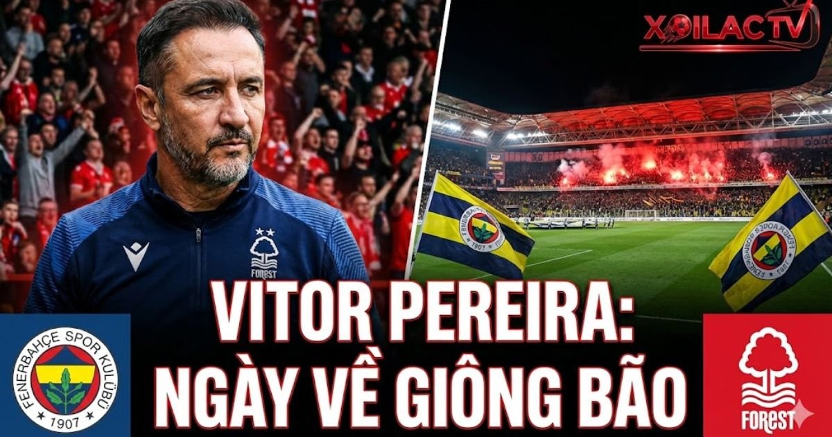 Nhận định trận đấu Fenerbahçe vs Nottingham Forest ngày 20/02, tiêu điểm HLV Vitor Pereira tái ngộ đội bóng cũ trên Xoilac TV