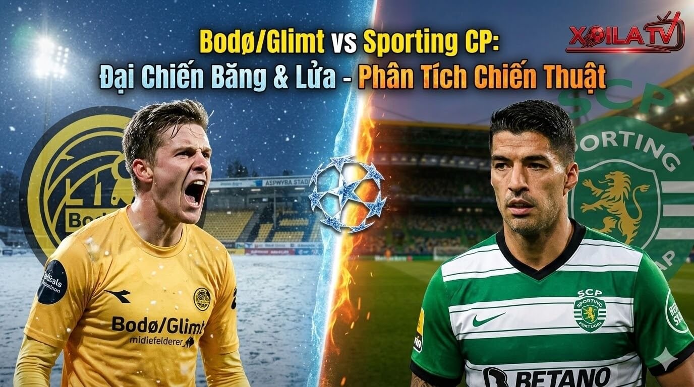 Nhận định Bodø/Glimt vs Sporting CP vòng 1/8 Champions League - Phân tích chiến thuật độc quyền từ Xoilac TV