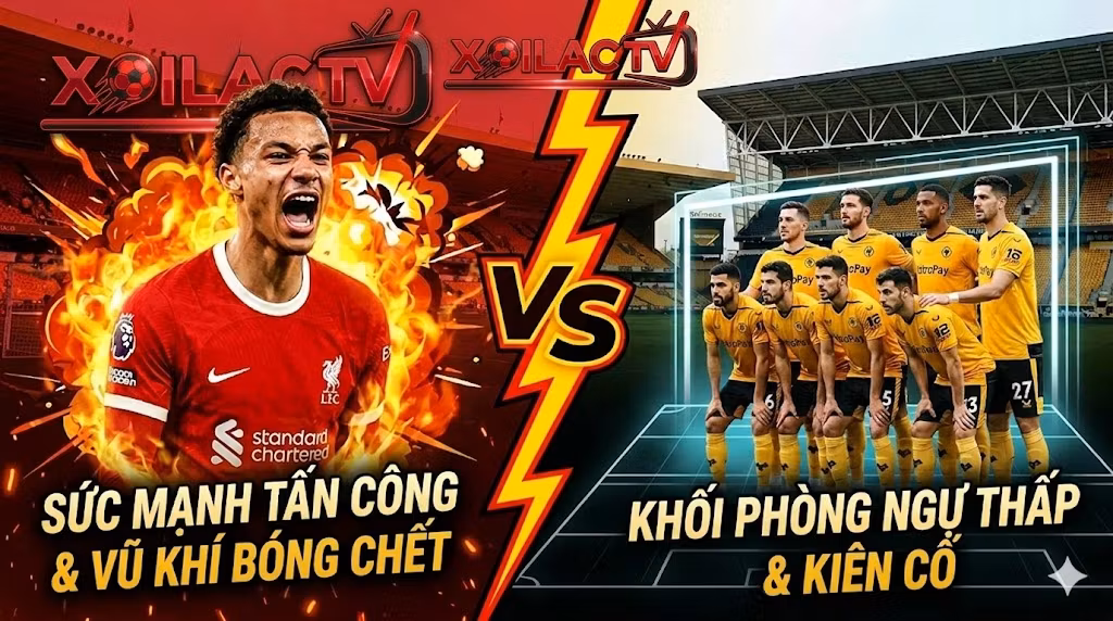 Nhận định Wolves vs Liverpool: Sức mạnh tấn công Lữ đoàn đỏ đối đầu xe bus Bầy sói trên Xoilac TV