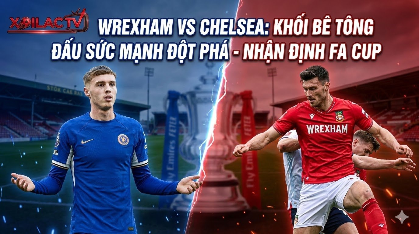 Nhận định Wrexham vs Chelsea vòng 5 FA Cup 2026: Cuộc đối đầu nảy lửa giữa khối bê tông và sức mạnh đột phá