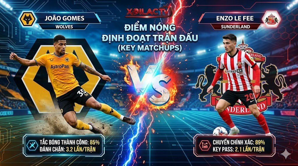 Điểm nóng tuyến giữa trận Wolves vs Sunderland: Thống kê João Gomes đối đầu Enzo Le Fee từ chuyên gia Xoilac TV.