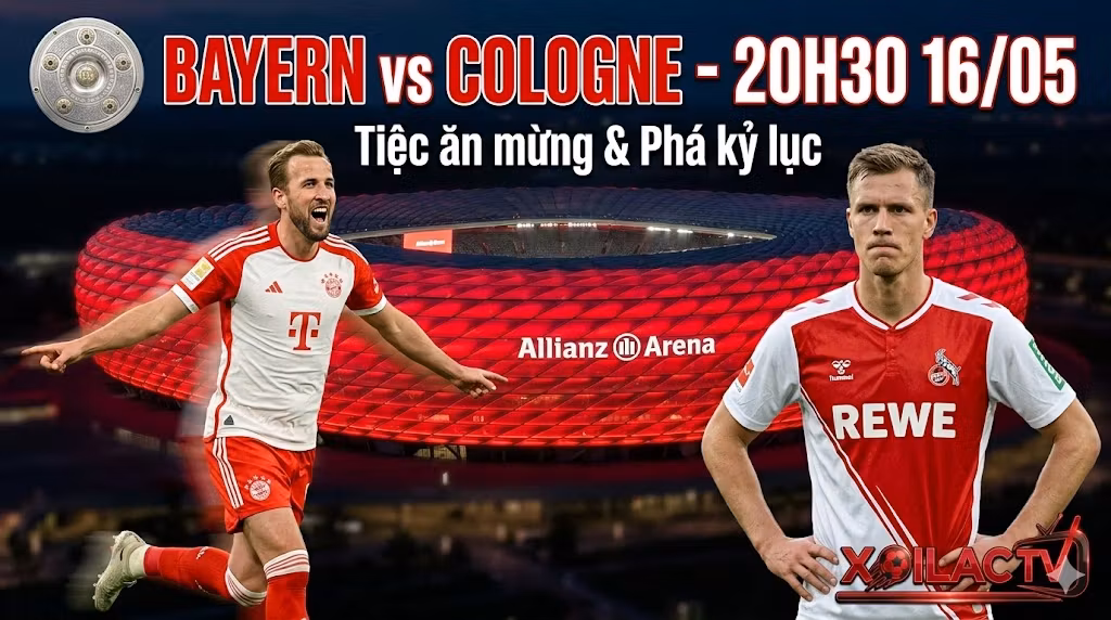 Nhận định bóng đá trận Bayern Munich vs Cologne vòng 34 Bundesliga cùng chuyên gia Xoilac TV. Hình ảnh Harry Kane ăn mừng tại chảo lửa Allianz Arena.