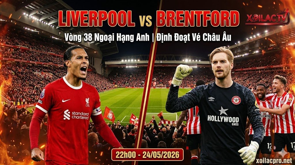 Nhận định Liverpool vs Brentford vòng 38 Ngoại hạng Anh: Trận chiến định đoạt vé dự cúp châu Âu trên Xoilac TV.