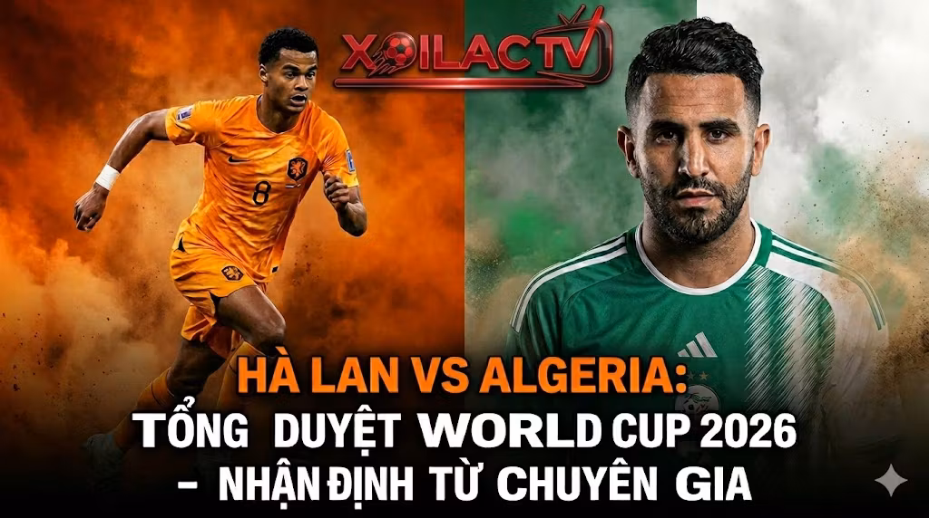 Ảnh bìa nhận định trận đấu giữa Hà Lan và Algeria trước thềm World Cup 2026 trên kênh trực tiếp bóng đá Xoilac TV, với hình ảnh Cody Gakpo và Riyad Mahrez.